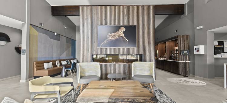 洲际酒店集团假日酒店 冈萨雷斯(Holiday Inn Gonzales)图片