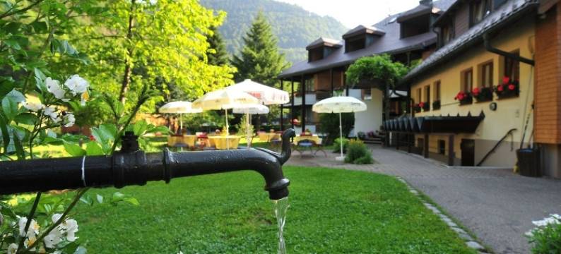 拉维纳酒店(Hotel Lawine)图片