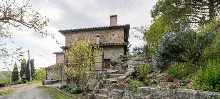 辛托亚农场酒店(Fattoria di Cintoia)图片