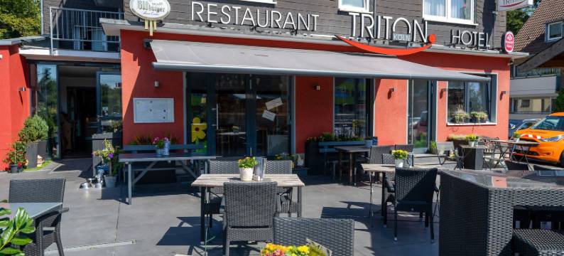 特莱顿酒店(Triton)图片