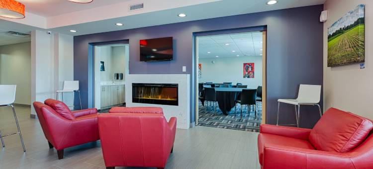 卡斯尔曼麦客达套房酒店(Microtel by Wyndham Casselman)图片