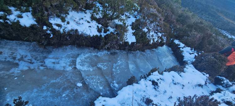 摇篮山高山度假村(Cradle Alpine Retreat)图片