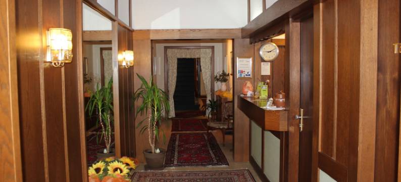 巴特尔斯城市酒店(Bartels Stadt-Hotel)图片