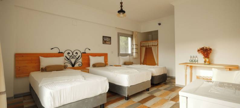 人生酒店(La Vida Otel)图片