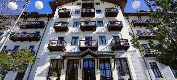 莱尼奥桥皇宫酒店(Palace Pontedilegno Resort)图片