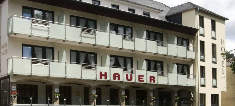 豪尔酒店(Hotel Hauer)图片