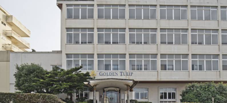 金鬱金香波爾圖蓋亞飯店(Golden Tulip Porto Gaia Hotel)图片