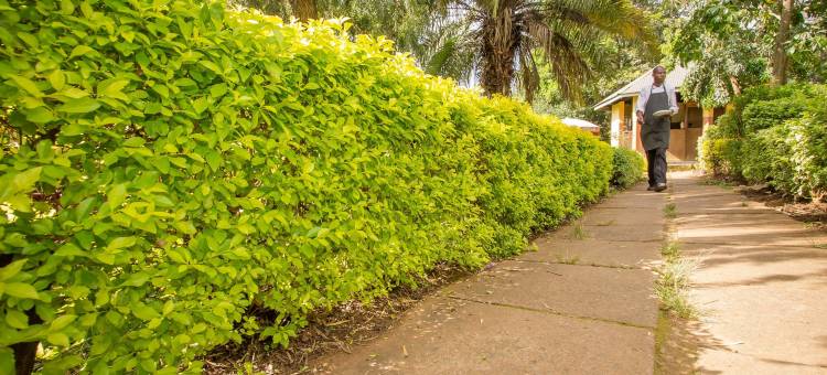 基塔莱恩戈机场度假村(Engo Airport Resort Kitale)图片