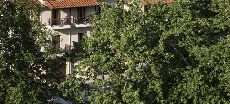 迈特奥雷迪斯酒店(Hotel Meteoritis)图片