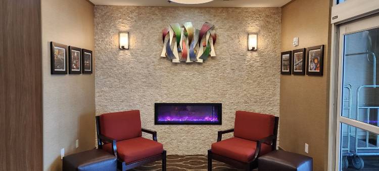 新奥尔良东舒适套房酒店(Comfort Suites New Orleans East)图片