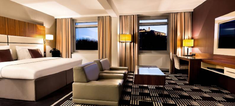 国际布尔诺酒店(Hotel International Brno)图片