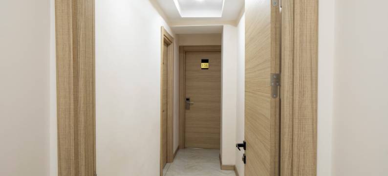 莱纳斯酒店(Lenus Otel)图片