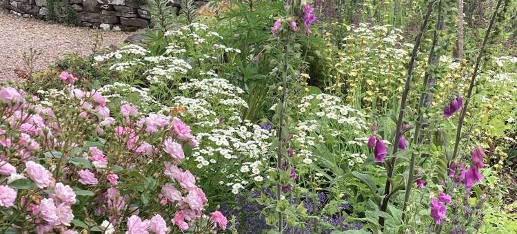 西岭公寓(The Celyn)图片