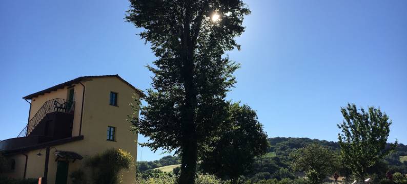 弗吉尼亚宾馆(Ca' Virginia - Guest House)图片