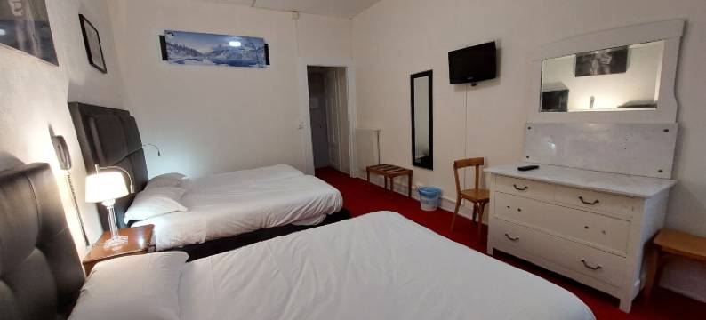 帕莱斯酒店(Hôtel du Palais)图片