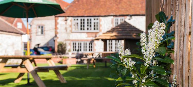 南哈丁白鹿旅馆(The White Hart, South Harting)图片