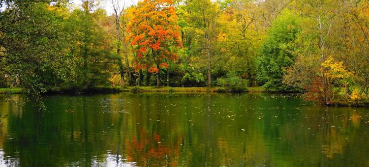 索默迪耶于埃区旅馆酒店(Lodge Hôtel de Sommedieue Verdun)图片