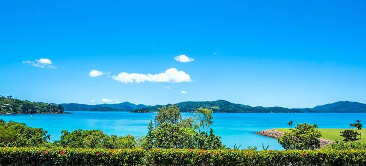 全新装修素馨海滨公寓(Frangipani Apartments on Hamilton Island by Hiha)图片