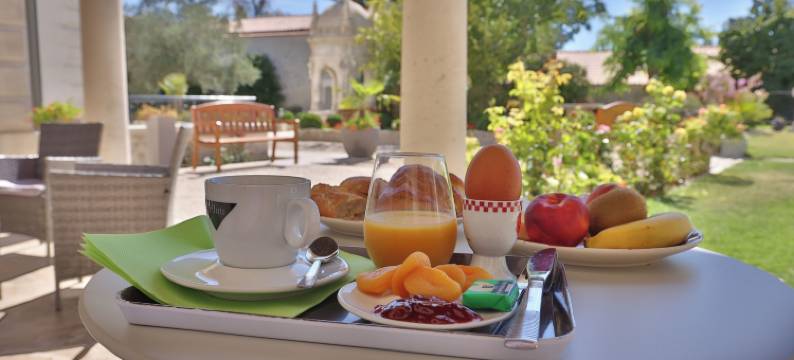 派里松城堡住宿加早餐旅馆(Château Pellisson)图片