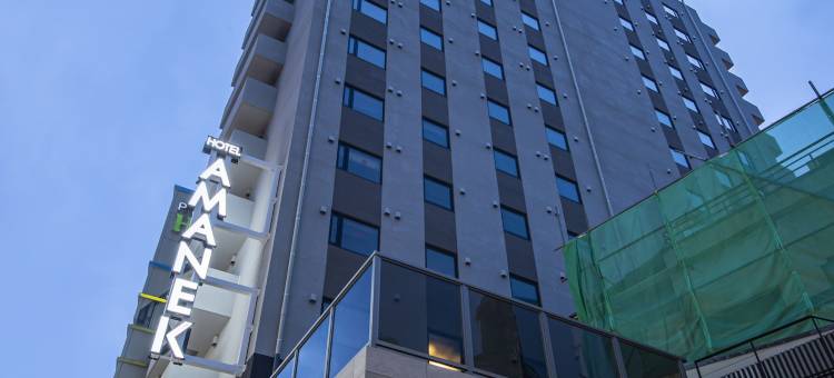 阿玛内克酒店-蒲田站前(HOTEL AMANEK Kamata-Eki Mae)图片