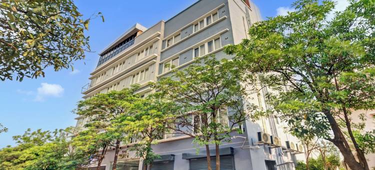 Treebo 光环(Treebo the Aura)图片