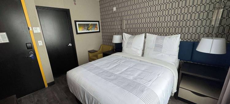 GLō Best Western Bronx NYC图片