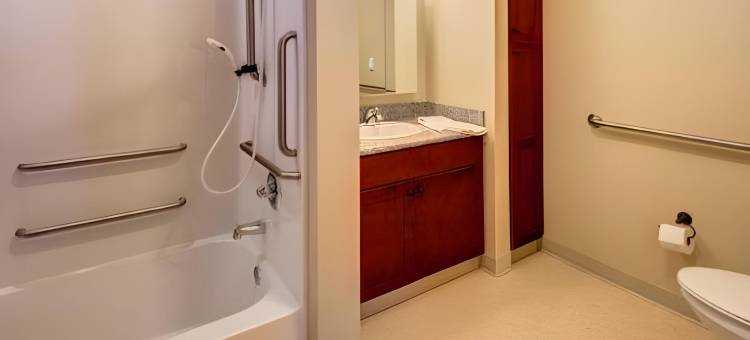 克拉丽奥酒店和套房(Clarion Hotel & Suites)图片