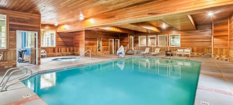 舒适套房酒店(Comfort Suites)图片