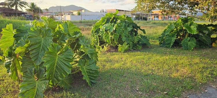 Spazio Italia 公寓(Spazio Italia Apartamentos - Você Entre a Lagoa e a Praia)图片