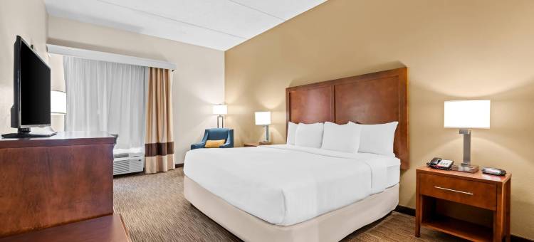 牛津南舒适套房酒店(Comfort Inn & Suites Oxford South)图片