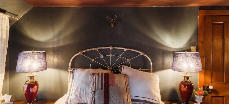 索格蒂斯占地53英亩的幽静艺术风19世纪农家乐(Secluded and Artful 1800s Farmhouse on 53 Acres, Saugerties)图片