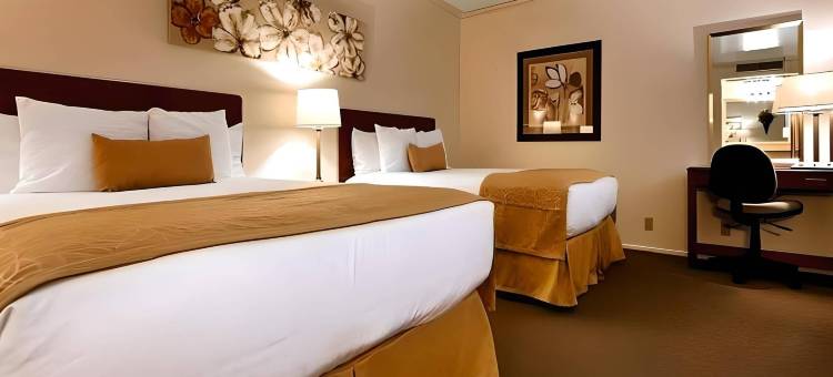 维纳尔伊克诺旅馆套房，靠近恐龙纪念碑(Econo Lodge Inn & Suites Vernal Near Dinosaur Monument)图片