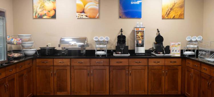 舒适套房酒店(Comfort Inn & Suites)图片