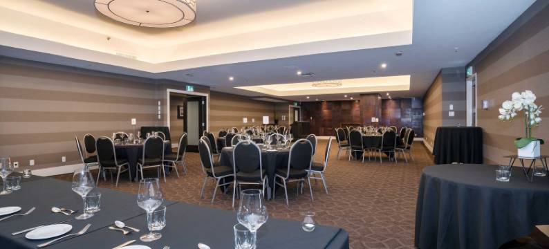 沙曼标志卡尔加里市中心酒店(Sandman Signature Calgary Downtown Hotel)图片