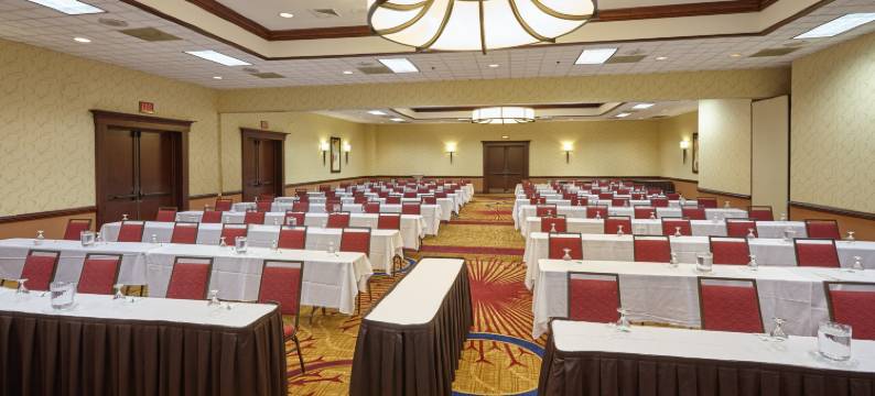 Holiday Inn & Suites 芝加哥罗斯奇姆(惠顿)(Holiday Inn & Suites CHICAGO-CAROL STREAM (WHEATON) by IHG)图片