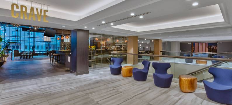 Hotel Indigo 罗切斯特城中心(Hotel Indigo ROCHESTER – MAYO CLINIC AREA by IHG)图片