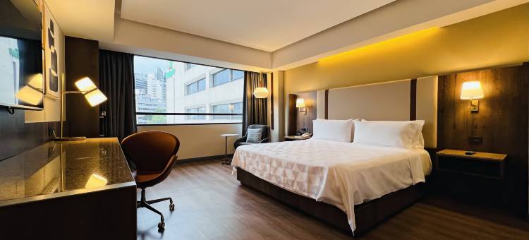 Holiday Inn 墨西哥城大学广场(Holiday Inn Mexico City-Plaza Universidad)图片