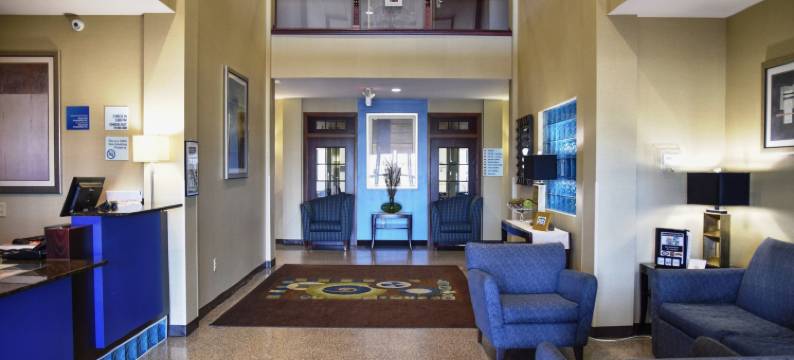 智选假日套房酒店圣查尔斯(Holiday Inn Express & Suites ST CHARLES by IHG)图片