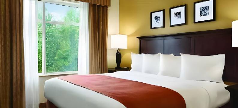 哥伦比亚哈比森丽怡酒店(Country Inn & Suites by Radisson, Columbia at Harbison, SC)图片