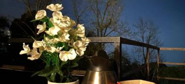 Misty peaks resorts图片