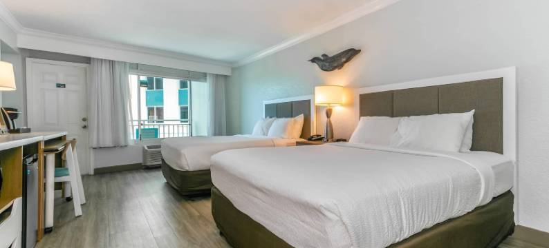 清水湾海豚沙滩Ascend精选酒店(Dolphin Sands Clearwater Beach, Ascend Hotel Collection)图片