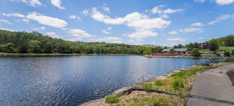 布兰森湖滨小屋：距离布兰森大道6英里！(6 Mi to Branson Strip! Lakefront Home with Fireplace)图片