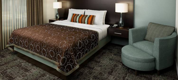 Staybridge Suites 达拉斯 - LAS科利纳斯区 by IHG(Staybridge Suites Irving Las Colinas by IHG)图片
