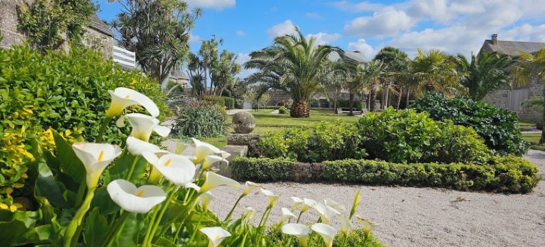 征服者(Le conquérant - Chambres meublées - Barfleur)图片