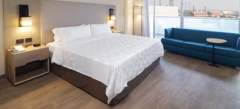 方迪多拉蒙特雷公园假日酒店(Holiday Inn MONTERREY-PARQUE FUNDIDORA by IHG)图片