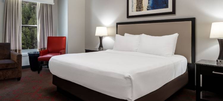 黑鹰幸运女神 酒店(Lady Luck Casino Black Hawk)图片