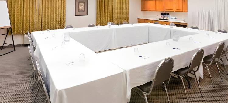 凯艺套房酒店(Quality Inn & Suites)图片