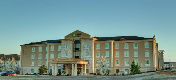 智选假日套房酒店特克萨卡纳东(Holiday Inn Express & Suites TEXARKANA EAST by IHG)图片