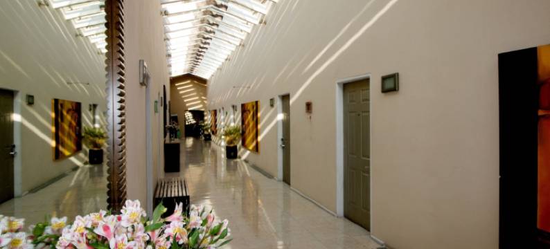 米西翁格兰德瓦勒德布拉沃酒店(Hotel Misión Grand Valle de Bravo)图片