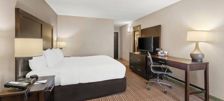 舒适酒店-利哈伊山谷西部(Comfort Inn Lehigh Valley West)图片